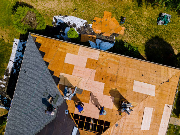 Best Roof Gutter Cleaning  in Salina, UT